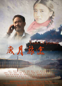 久久久久久国产精品三级